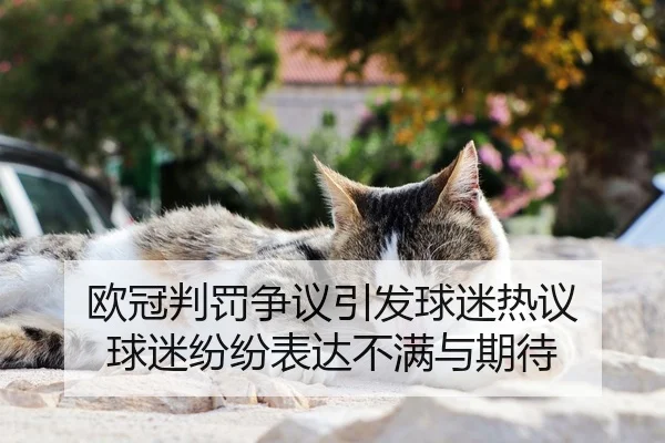 ou-guan-pan-fa-zheng-yi-yin-fa-qiu-mi-re-yi-qiu-mi-fen-fen-biao-da-bu-man-yu-qi-dai-2-949.jpg
